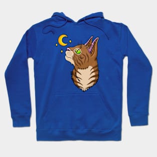 Cat and Moon Hoodie